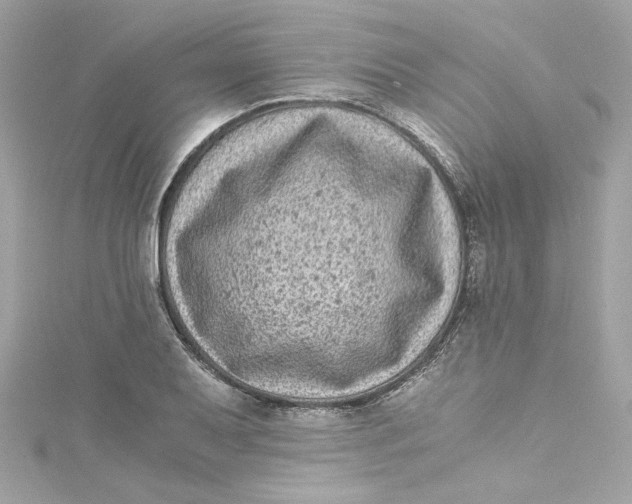 X0000115061079200911161603