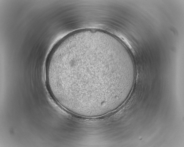 X0000115061080200911161603