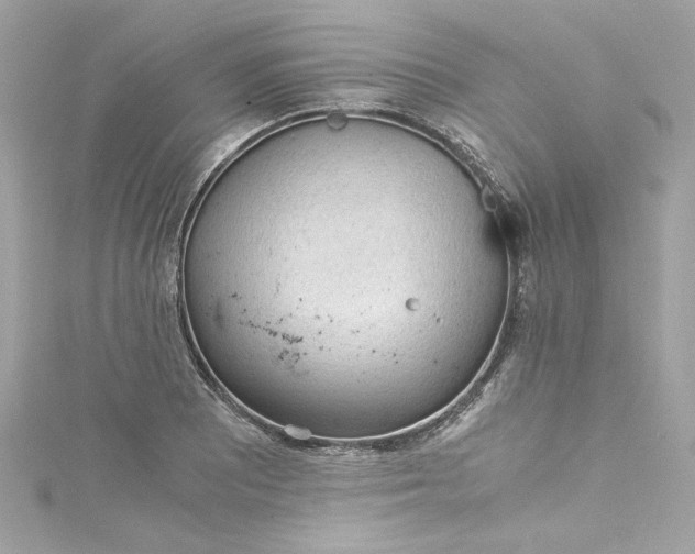 X0000115061081200911161603