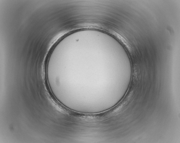 X0000115061082200911161603