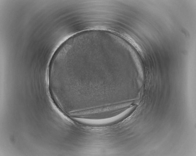 X0000115061084200911161603