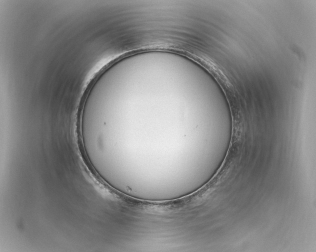 X0000115061086200911161603