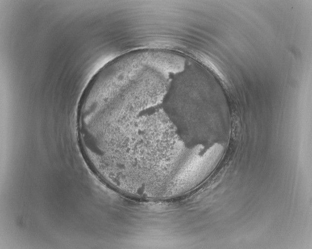 X0000115061087200911161603