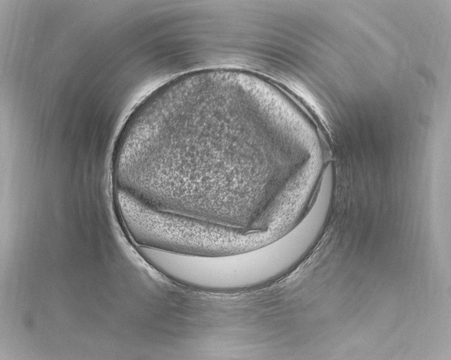 X0000115061088200911161603