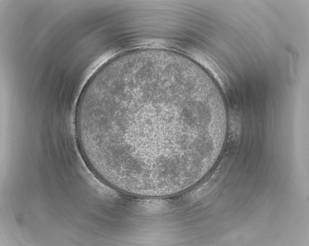 X0000115061090200911161603