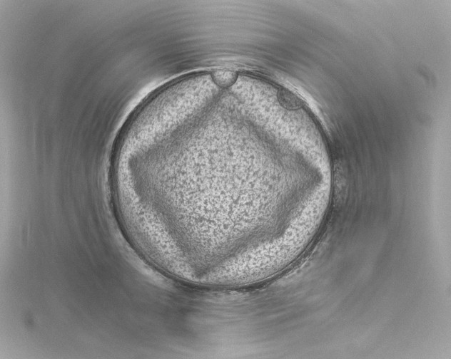 X0000115061091200911161603