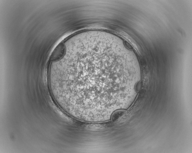 X0000115061092200911161603