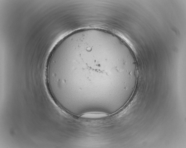 X0000115061093200911161603