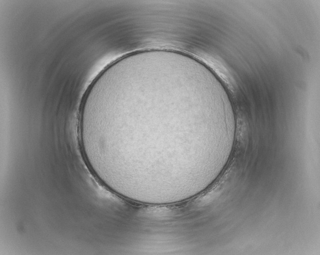 X0000115061094200911161603