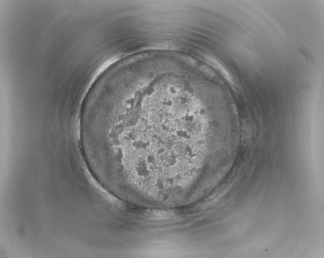 X0000115061095200911161603