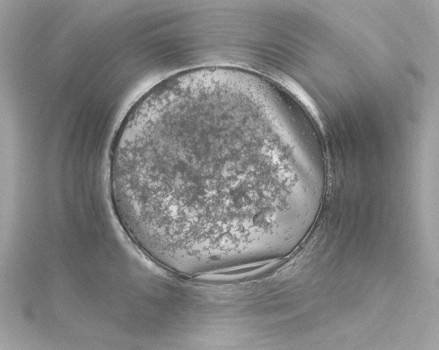 X0000115061096200911161603