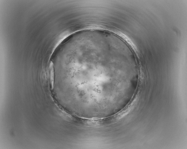 X0000115061097200911161603