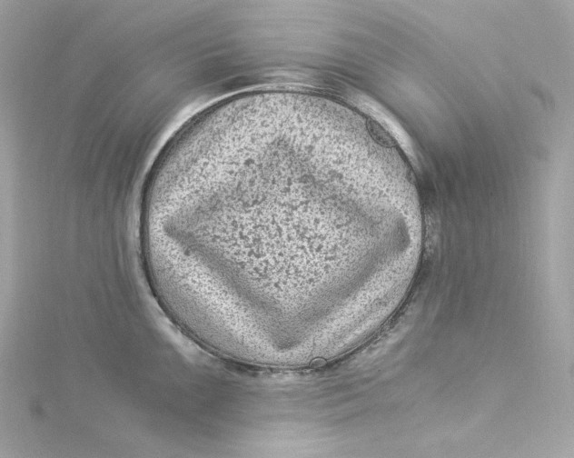 X0000115061099200911161603