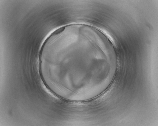 X0000115061100200911161603