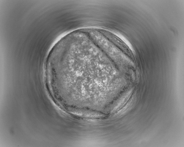 X0000115061101200911161603