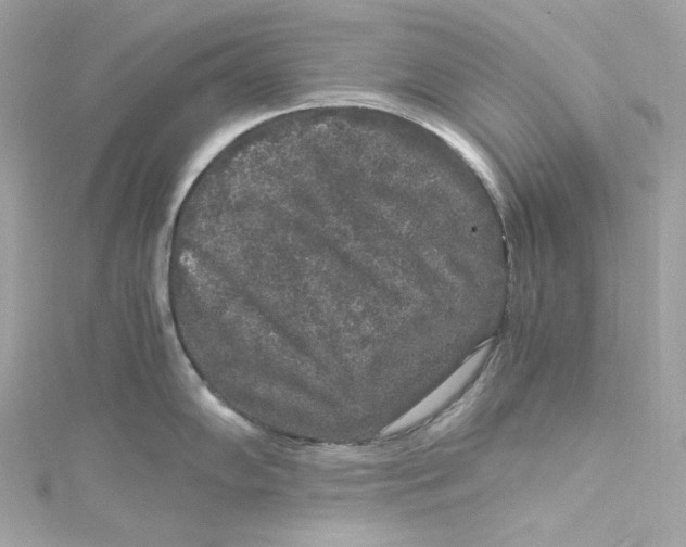 X0000115061102200911161603