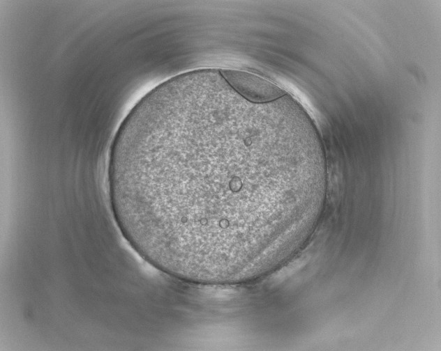 X0000115061103200911161603