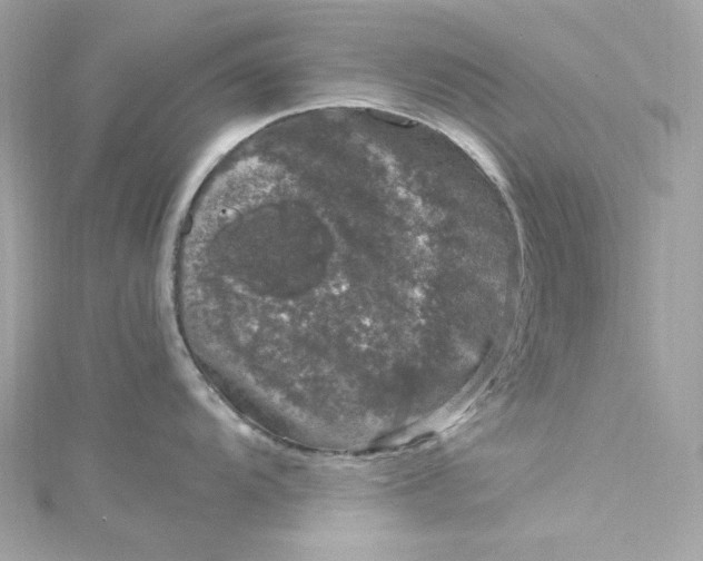 X0000115061104200911161603