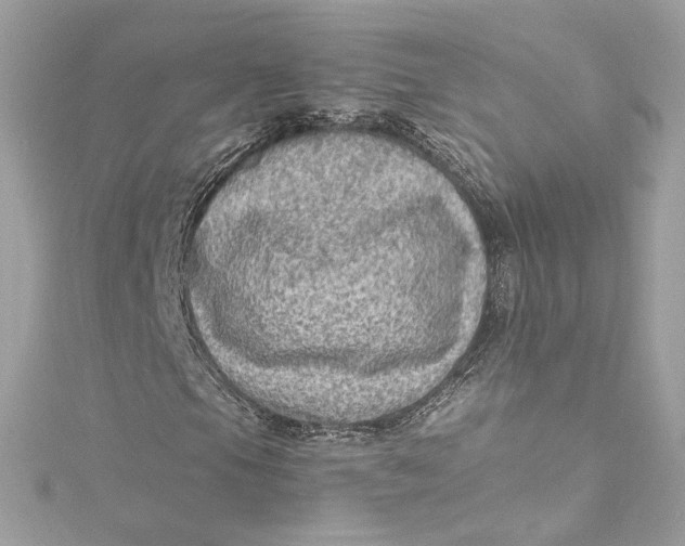 X0000115061105200911161602