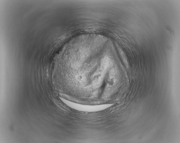 X0000115061106200911161602