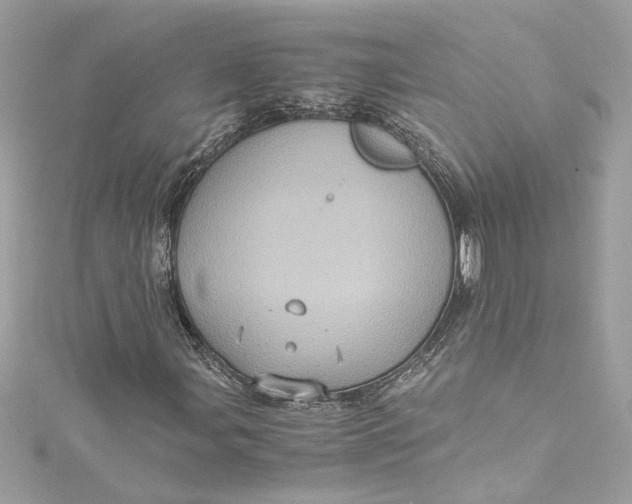 X0000115061107200911161602