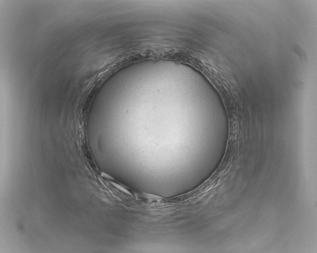 X0000115061109200911161602