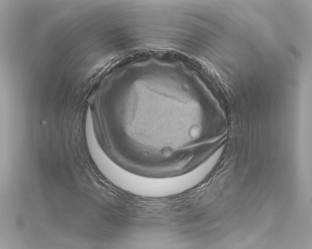 X0000115061110200911161603