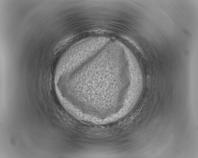 X0000115061111200911161603