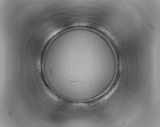 X0000115061113200911161603