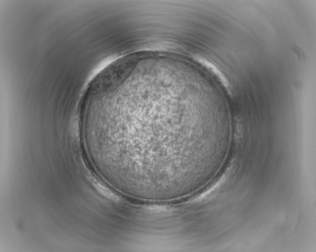 X0000115061114200911161603