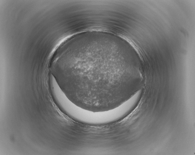 X0000115061115200911161603