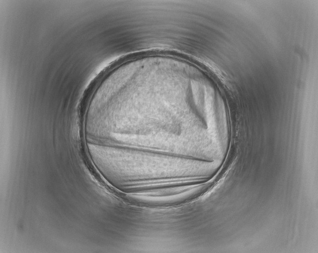 X0000115061118200911161603