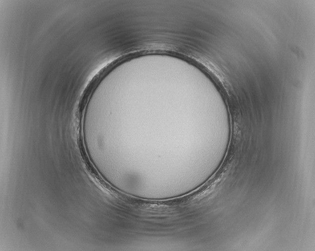 X0000115061119200911161603