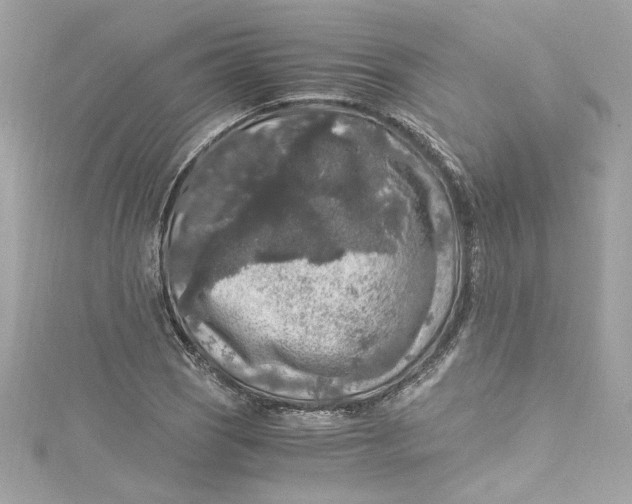 X0000115061121200911161603