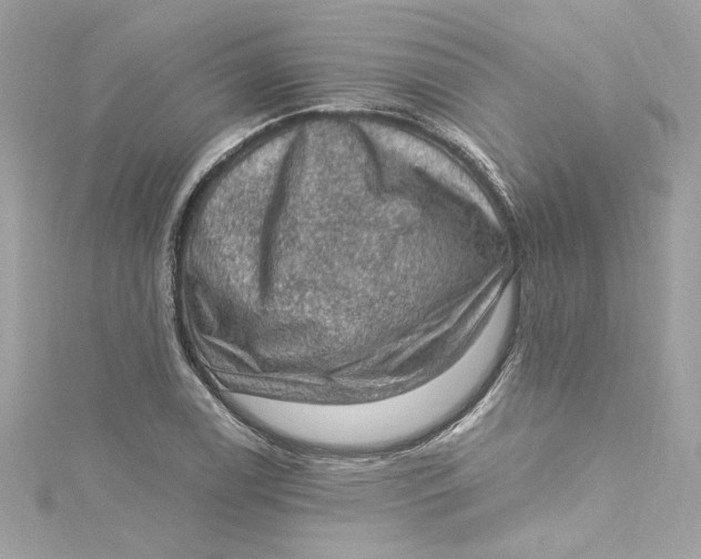 X0000115061122200911161603