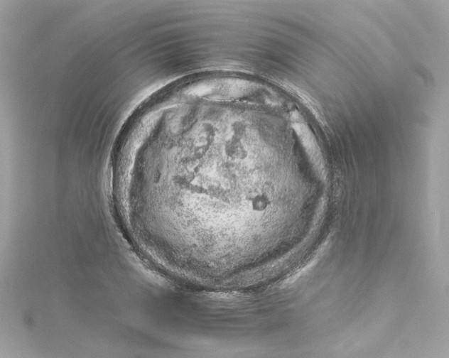 X0000115061125200911161603