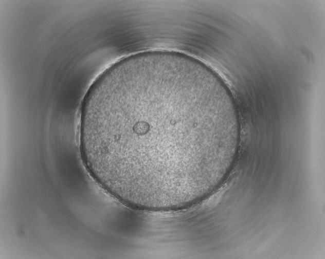 X0000115061126200911161603