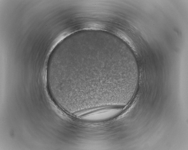 X0000115061130200911161603