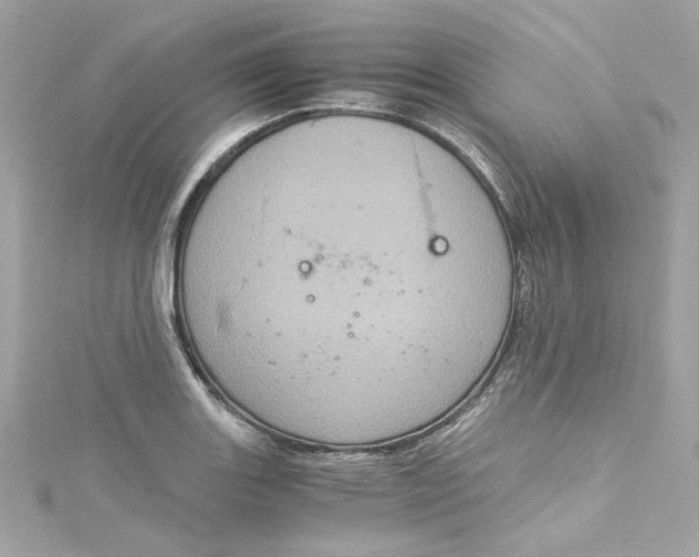 X0000115061131200911161603