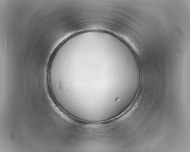 X0000115061134200911161603