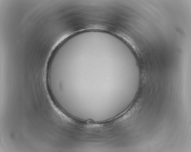 X0000115061135200911161603