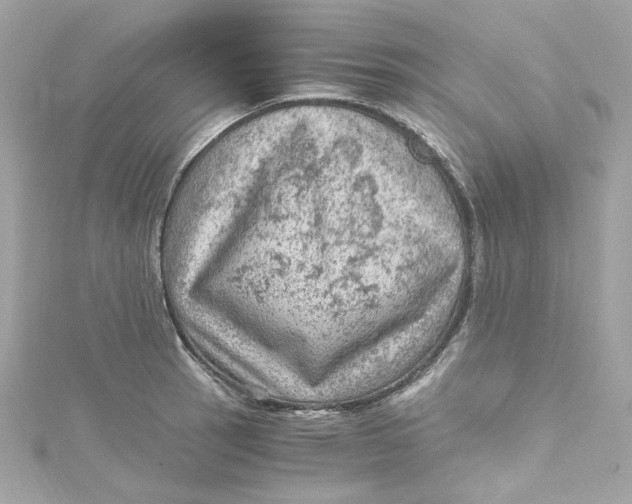 X0000115061137200911161603