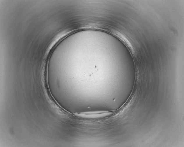 X0000115061138200911161603