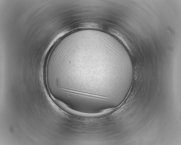 X0000115061139200911161603