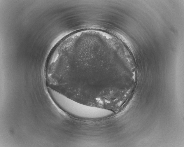 X0000115061141200911161603