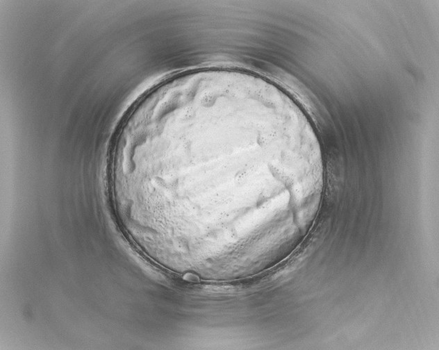 X0000115061142200911161603