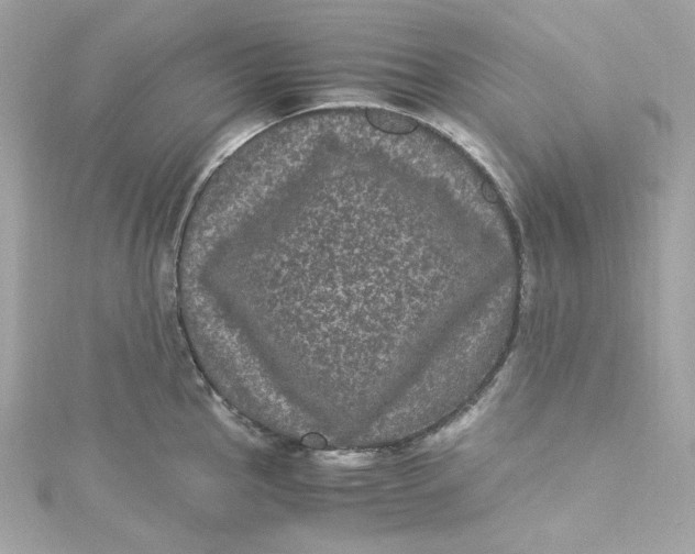 X0000115061145200911161603