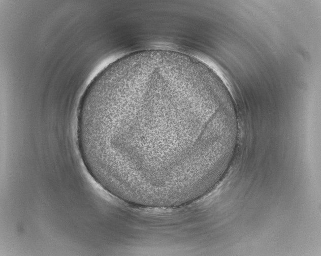 X0000115061147200911161603