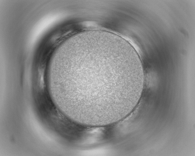 X0000115061150200911161603