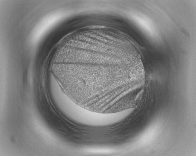 X0000115061151200911161603